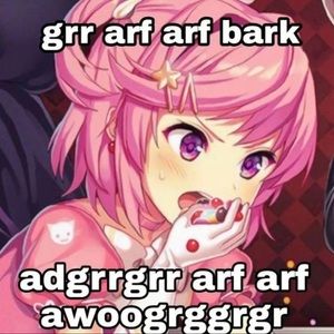 Meet your Posher, Araya